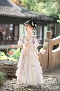Kineski cosplay za djevojčice, ljubičasta cvjetni vez, Hanfu, dječje fotografija, винтажное haljina, odijelo drevni mitski Tang princeza