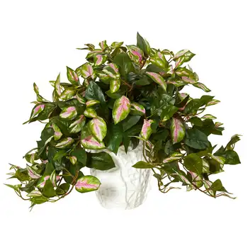 Umjetna biljka Hoya u Bijele Keramičke Vaze, Dekor za Zelena soba, Rustikalni vaza, Zdjela-Urna, Vaza-Gljiva, Knjiga vaza za cvijeće, Staklena кашица
